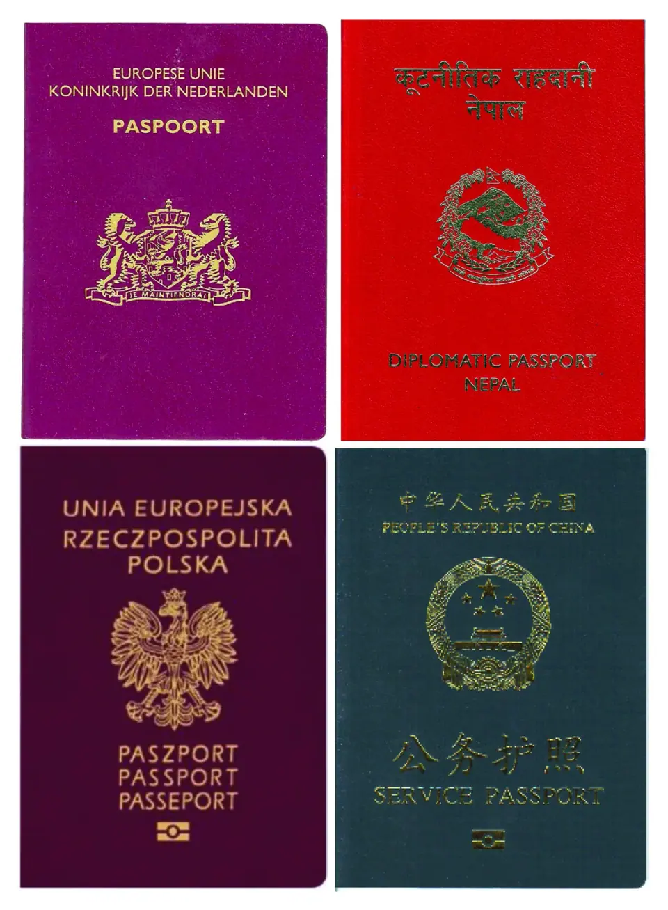Four international passports with burgundy, red, blue and green covers