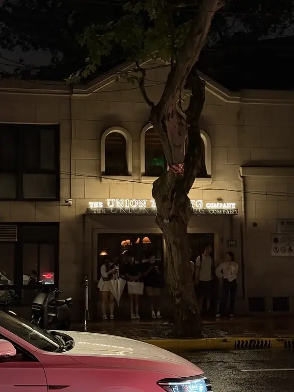 Illuminated Union Trading Company entrance beneath a tree at night in Shanghai